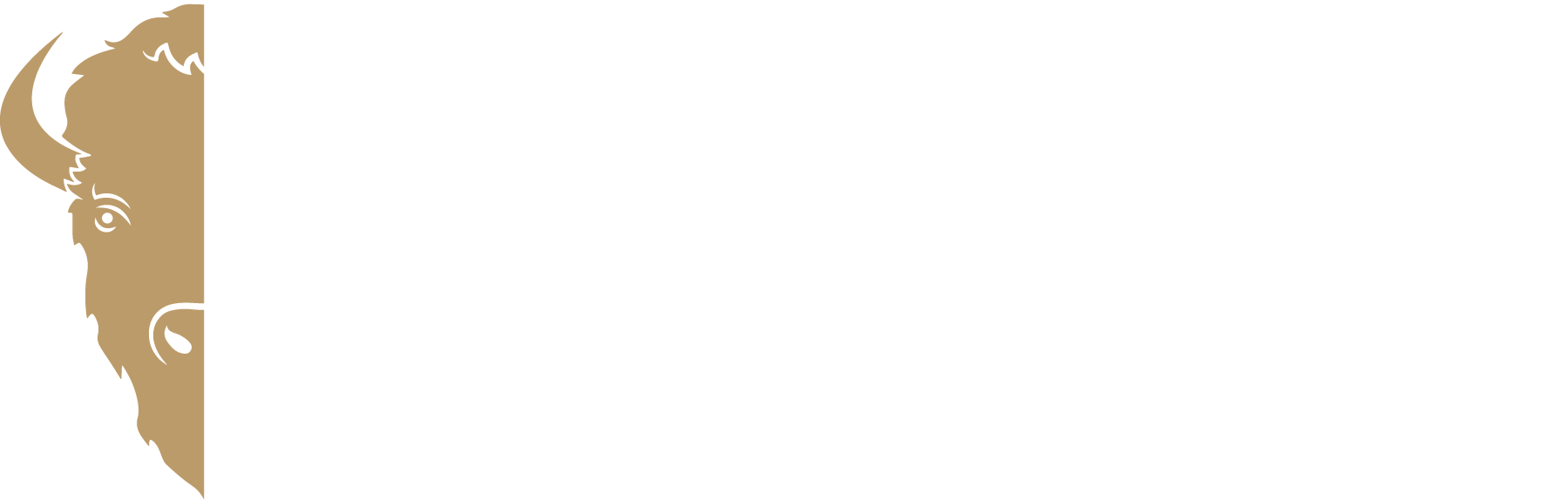Buffalo Promise